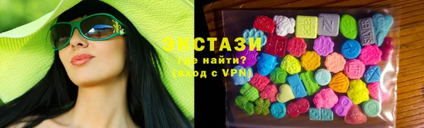 ECSTASY Богородицк