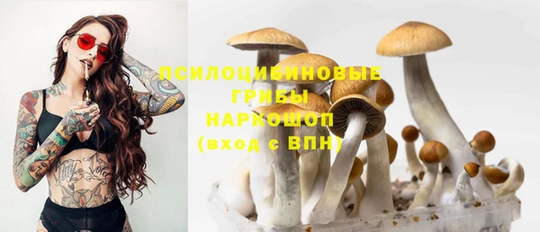 бутират Богданович